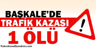 Başkale'de trafik kazası: 1 ölü