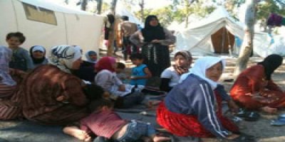 255 Kaçak Göçmen Yakalandı