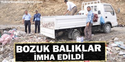 Bozuk Balıklar İmha Edildi