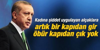 Başbakan Erdoğan'ın kadına şiddet açıklaması