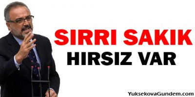 Sakık: Hırsız Var, Oylarınızı Çaldılar