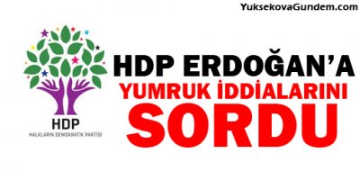HDP Erdoğana yumruk iddialarını sordu