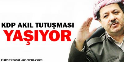 DTK: KDP akıl tutulması yaşıyor