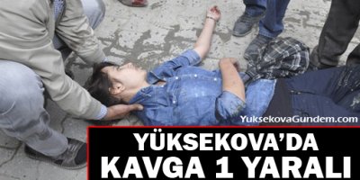 Yüksekovada kavga: 1 yaralı