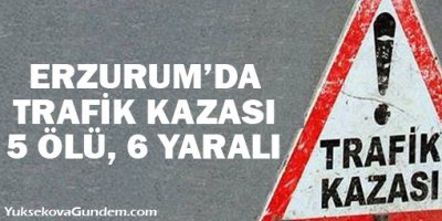 Erzurum'da trafik kazasında aynı aileden 5 kişi öldü