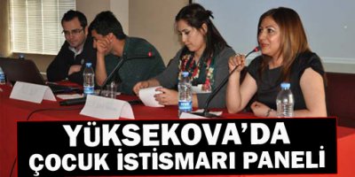 Yüksekova'da Çocuk İstismarı Paneli verildi