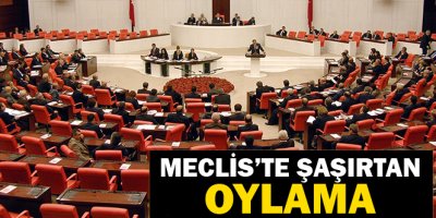 TBMM'de şaşırtan oylama