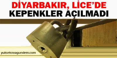 Lice'de yurttaşlar operasyon bölgesine gidiyor