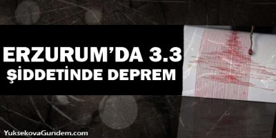 Şenkaya Güne Depremle Uyandı