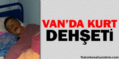 Van'da Kurt Dehşeti 2 Yaralı!
