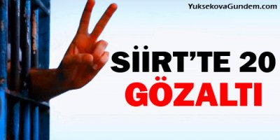 Siirt'te 'KCK' operasyonunda 20 gözaltı