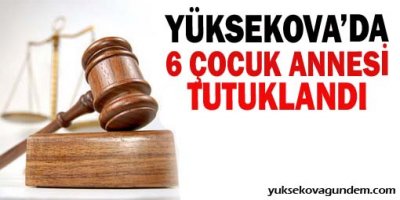Yüksekovada 6 çocuk annesi tutuklandı