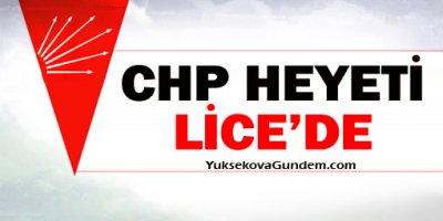 CHP heyeti Lice'de: Sivil düşmüş, ateş sürmüş