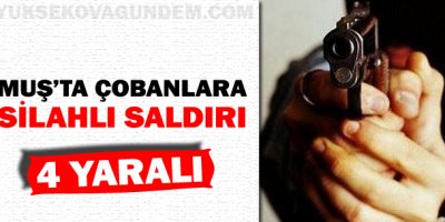 Muş'ta çobanlara silahlı saldırı!