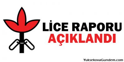 Lice raporu açıklandı
