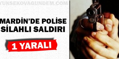 Mardin'de polise silahlı saldırı