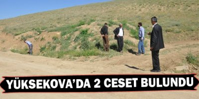 Yüksekovada 2 Ceset Bulundu