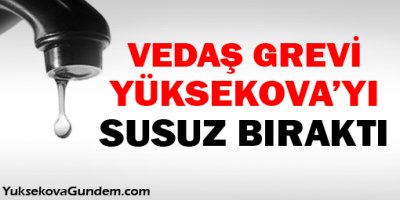 Vedaş grevi Yüksekovayı susuz bıraktı