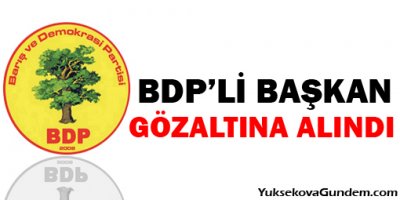 BDP'li Başkan Gözaltına Alındı