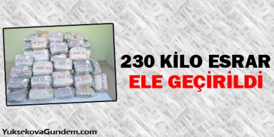 Van'da 230 Kilo Esrar Ele Geçirildi
