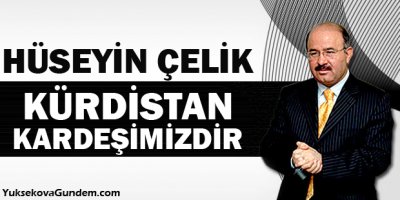 Hüseyin Çelik: Kürdistan Kardeşimizdir