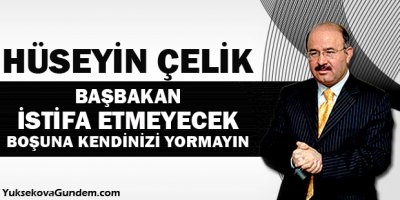 Çelik: Başbakan istifa etmeyecek