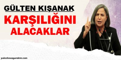 Kışanaktan, Belediyeye Yapılan Saldırıya İlişkin Açıklama