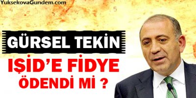 Gürsel Tekin: IŞİDe fidye ödendi mi?