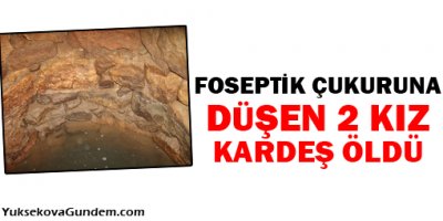 Vanda Foseptik Çukuruna Düşen 2 Kız Kardeş Öldü