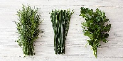Maydanozun Faydaları