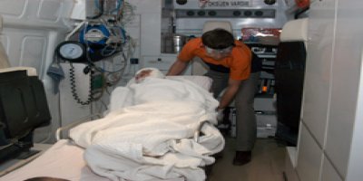 Tarlada Çalışan 2 Kadın, Kurdun Saldırısına Uğradı