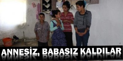 Van'da Annesiz Babasız Kalan 4 Çocuğun Dramı