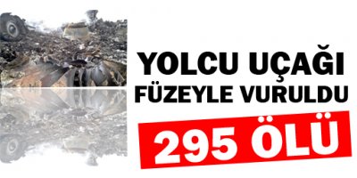 yolcu uçağı füzeyle vuruldu: 295 ölü