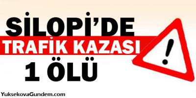Silopi'de Trafik Kazası