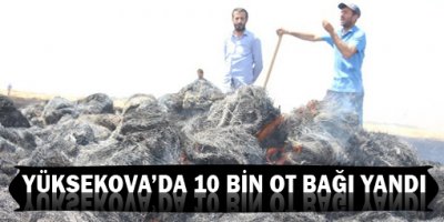 Yüksekovada 10 Bin Ot Bağı Yandı