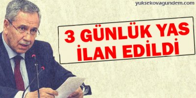 Bülent Arınç: 3 günlük yas ilan edildi