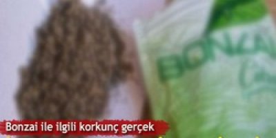 Kalp krizinin nedeni Bonzai çıktı