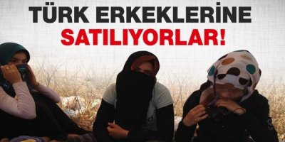 Suriye'den kaçtılar Türkiye'de kuma oldular!
