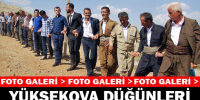 Yüksekova Düğünleri (02-03) Ağustos 2014
