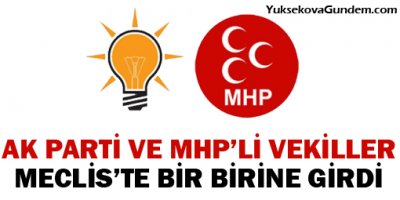 AK Parti ve MHP'li vekiller birbirine girdi
