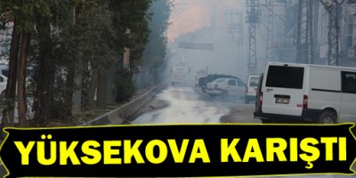 Yüksekovada IŞİD gerginliği