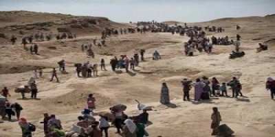 Rabia Şengal'daki savaş bilançosu