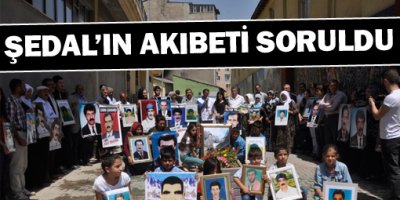 Şedalın Akıbeti Soruldu