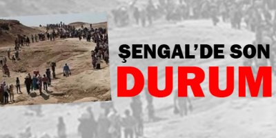 Şengalde son durum