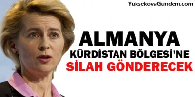 Almanya Kürdistan Bölgesine silah gönderecek