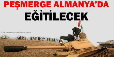 Peşmerge Almanya'da eğitilecek