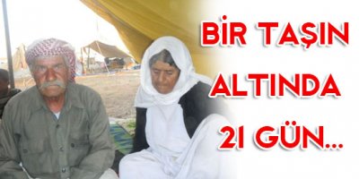 Bir taşın altında 21 gün
