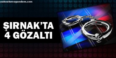 Şırnak'ta 4 gözaltı