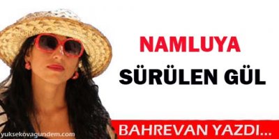 Namluya sürülen gül