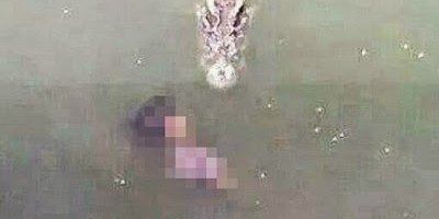 65 yaşındaki kadın kendini timsahlara attı!